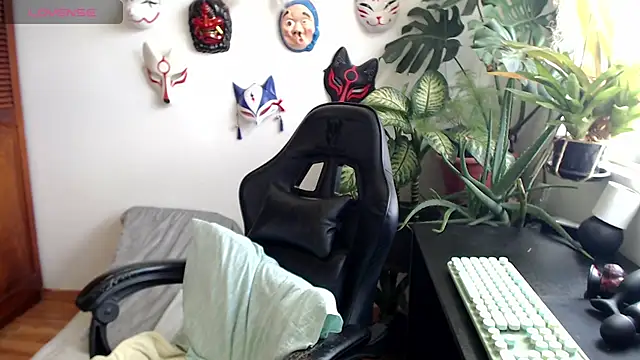 cat salo online show from 22, 11, 2025