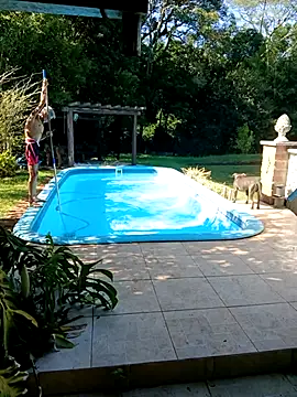 dutra498 online show from 3, 2, 2026