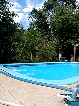 dutra498 online show from 6, 4, 2026