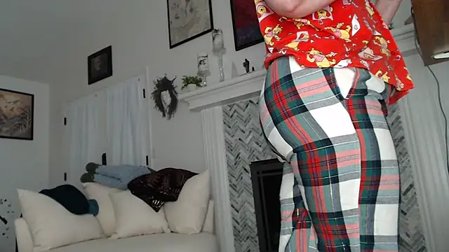 AuroraWillows online show from 10, 11, 2025