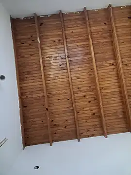 ZaraHoney online show from 20, 1, 2025