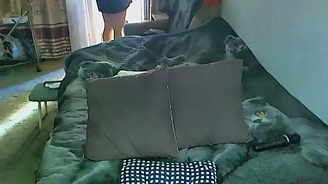 sex2 online show from 27, 9, 2025