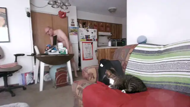 Ursulet US online show from 23, 4, 2026