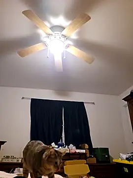 ScarletCallings420 online show from 19, 2, 2025