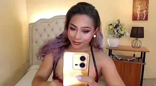 DreamLADYBOY online show from 6, 12, 2024