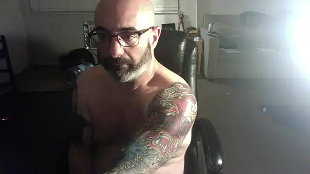 palidin1 online show from 3, 2, 2026