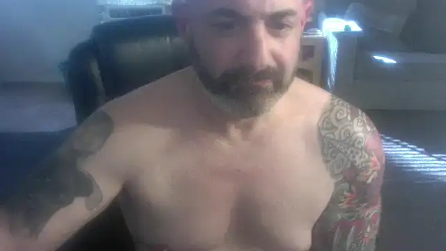 palidin1 online show from 4, 2, 2026