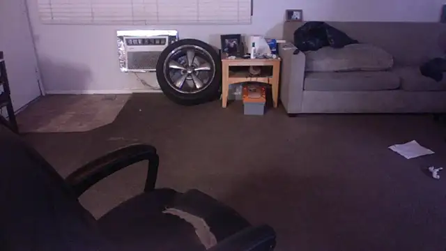 Snapshot of palidin1 chatting on 17, 4, 2026 palidin1 online show from 17, 4, 2026