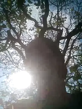 Mohni Das online show from 25, 3, 2026