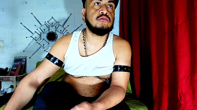 the master foal  online show from 29, 11, 2025