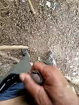 breejs online show from 23, 10, 2025