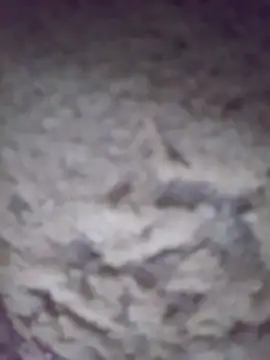 king-lobo-act online show from 29, 10, 2025