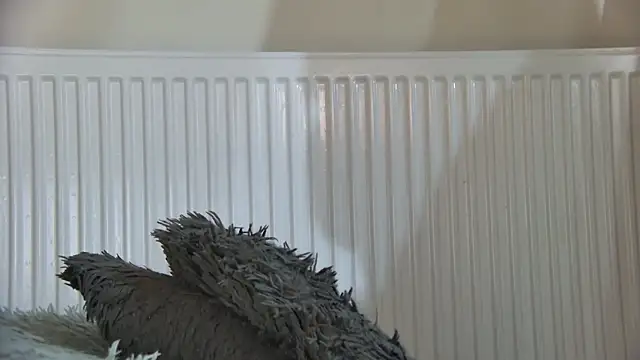 curvyana69 online show from 5, 1, 2026