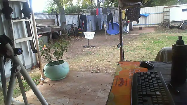 Snapshot of herbie010666 chatting on 3, 8, 2026 herbie010666 online show from 3, 8, 2026