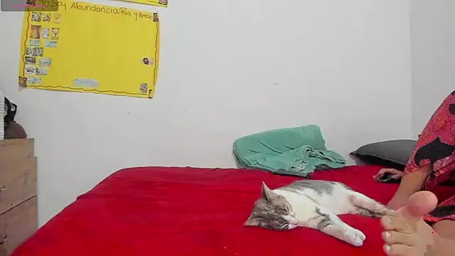 Hela wet online show from 24, 11, 2025