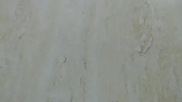 Crazy team  online show from 20, 12, 2024