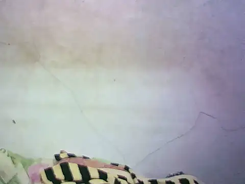 wet babexxx online show from 8, 10, 2025