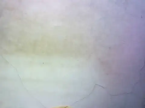 wet babexxx online show from 9, 10, 2025