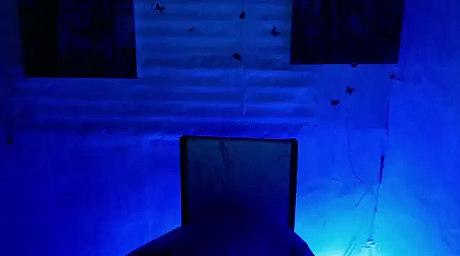 bbygrl Carol online show from 5, 1, 2025
