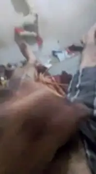 Shugar dick online show from 22, 12, 2024