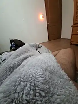 Calamaco07 online show from 28, 11, 2025