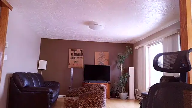 BasicAnt online show from 17, 3, 2026