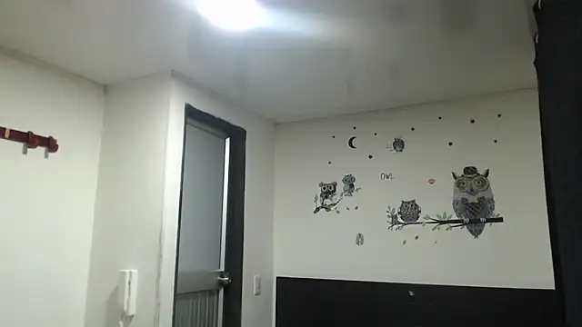 stifen  online show from 31, 1, 2025