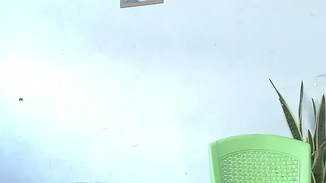 -Anarka- online show from 8, 9, 2025