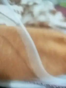 naghmi12 online show from 13, 4, 2026