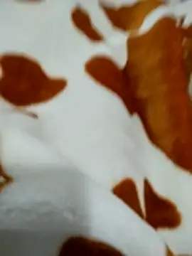 naghmi12 online show from 18, 4, 2026