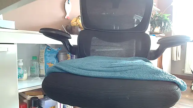 suedel65 online show from 4, 11, 2025