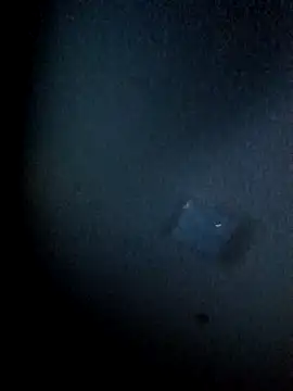 Snapshot of yellowwetfox chatting on 29, 3, 2026 yellowwetfox online show from 29, 3, 2026