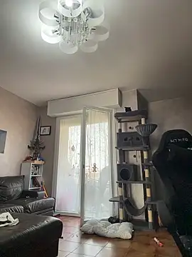 DaisyVibesss online show from 23, 2, 2026