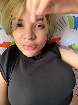 Noxarcane online show from 12, 1, 2026