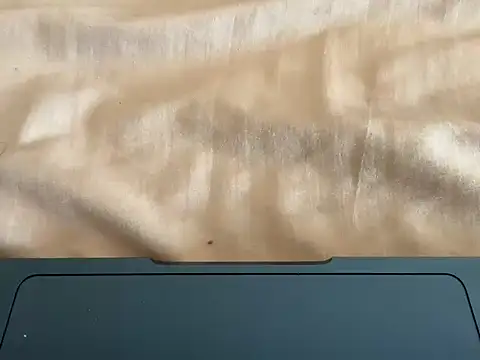 rohitsen222 online show from 10, 1, 2026