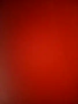 Petite li online show from 26, 11, 2025