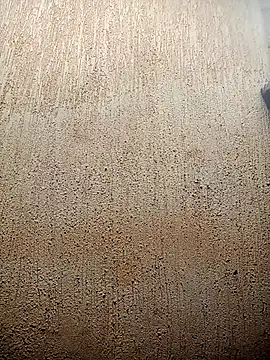 Petite li online show from 3, 2, 2026