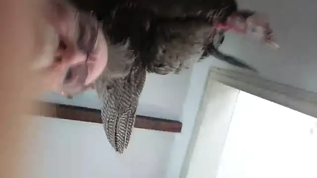 CDforU online show from 4, 2, 2026