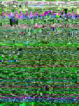 Snapshot of Wolfeman74 chatting on 11, 7, 2026 Wolfeman74 online show from 11, 7, 2026