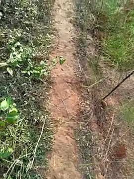 Gopal1243 online show from 14, 12, 2024