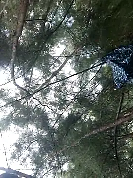 Gopal1243 online show from 28, 9, 2025