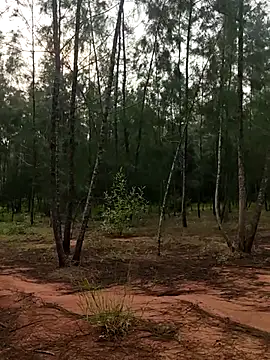 Gopal1243 online show from 9, 10, 2025