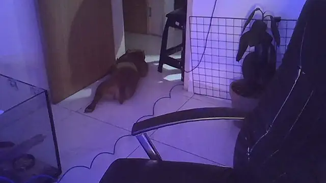 myamillor online show from 14, 12, 2024