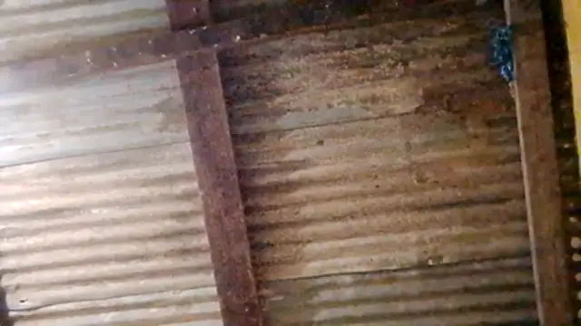 LULE37587001 online show from 20, 2, 2026