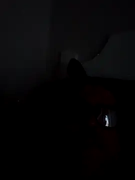 BocaElite online show from 26, 4, 2026