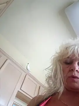 IMS BHAVEN online show from 19, 10, 2025