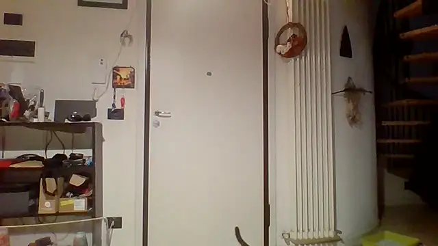 woww791 online show from 25, 3, 2026