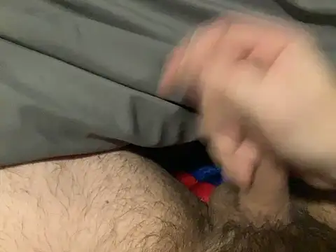 northcock87 online show from 4, 2, 2026