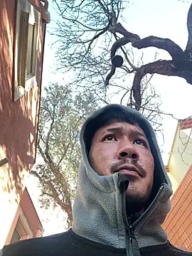 juniiorre online show from 15, 1, 2026