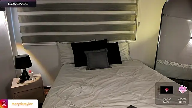 Snapshot of MERIDA_TAYLOR chatting on 4, 2, 2026 MERIDA TAYLOR online show from 4, 2, 2026